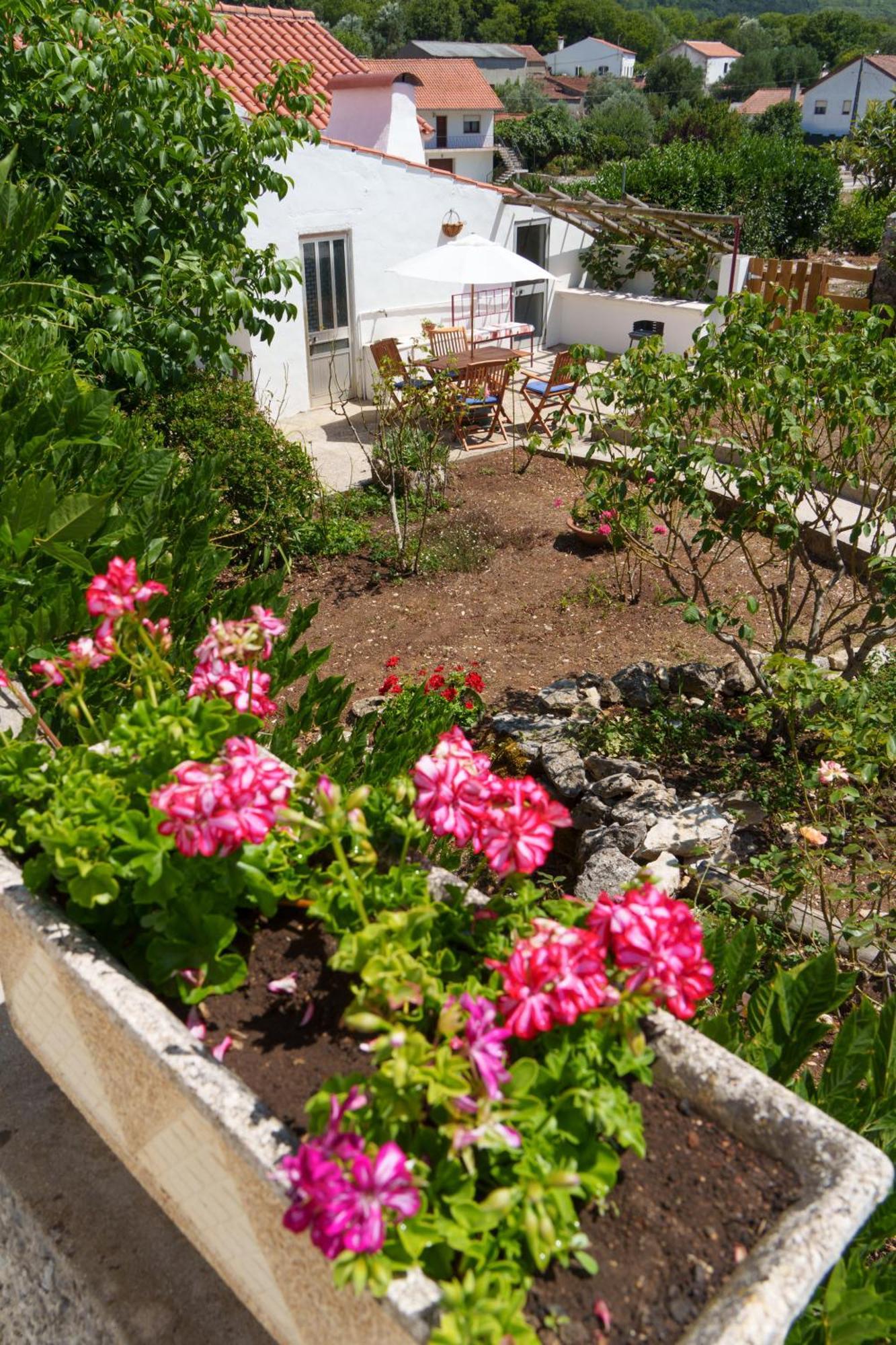 Casa Alba - Alvados Villa Eksteriør billede
